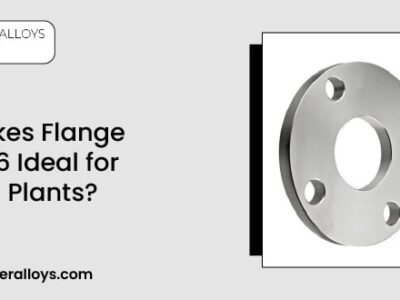 Hastelloy c276 Flanges ideal for chemical plants